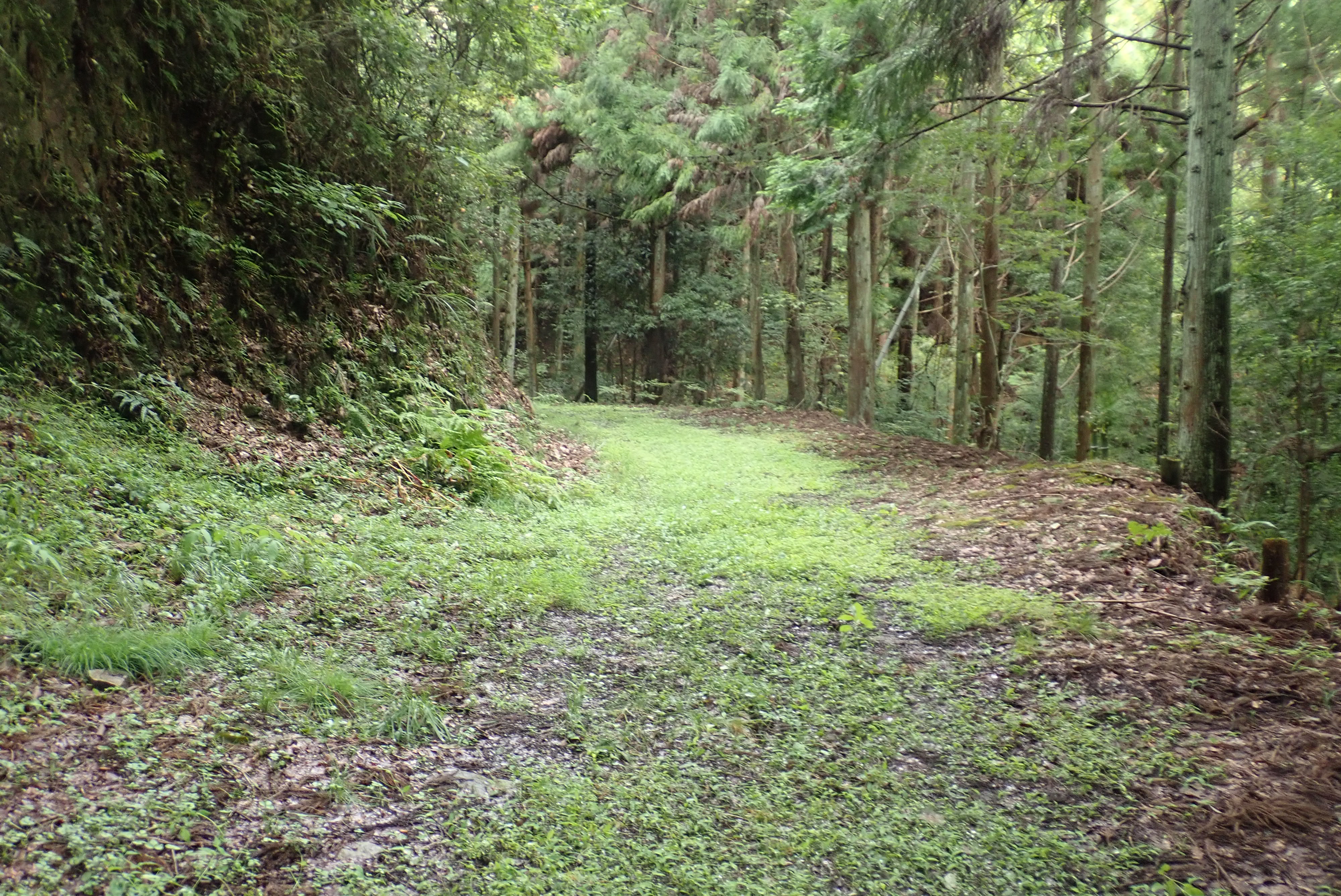 黒河道