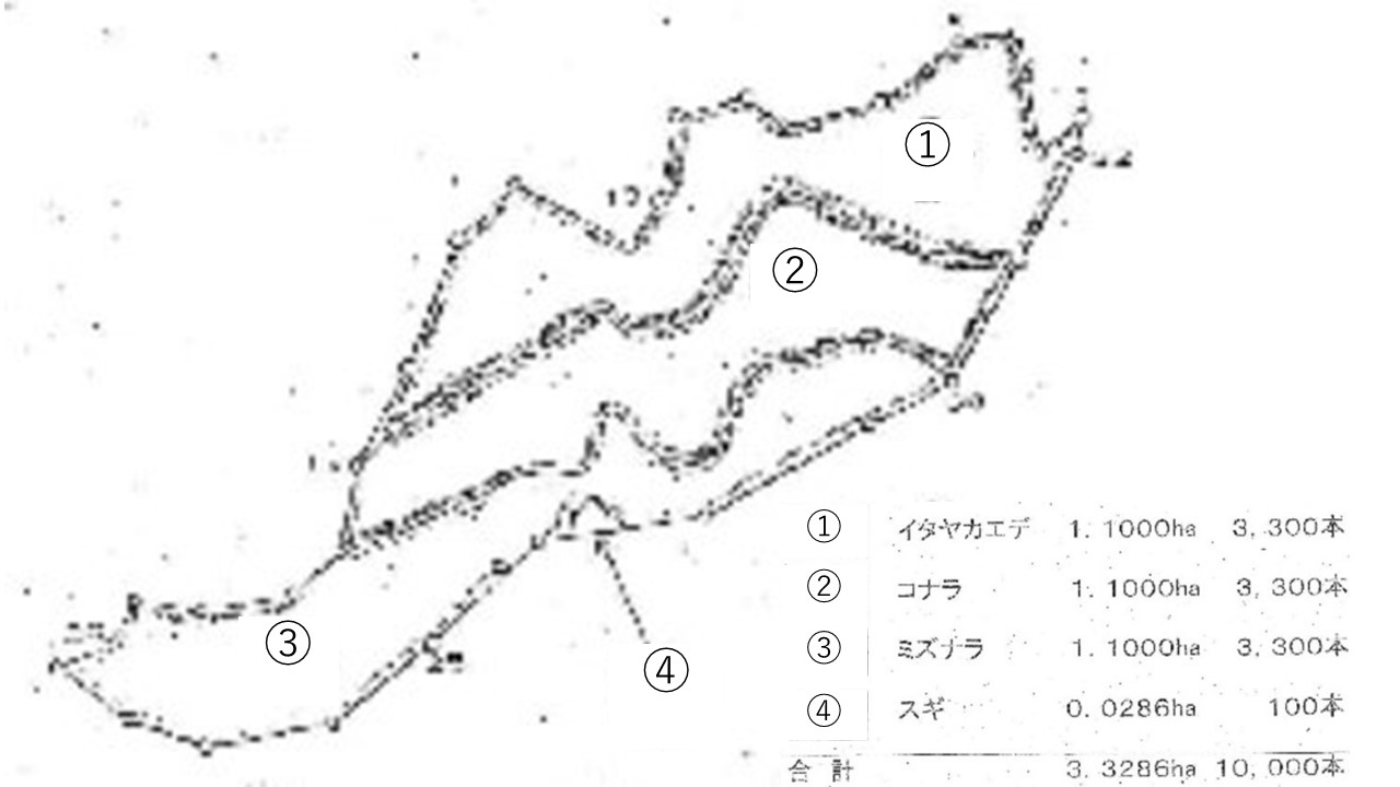 植栽図