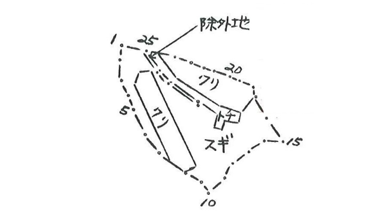 植栽図