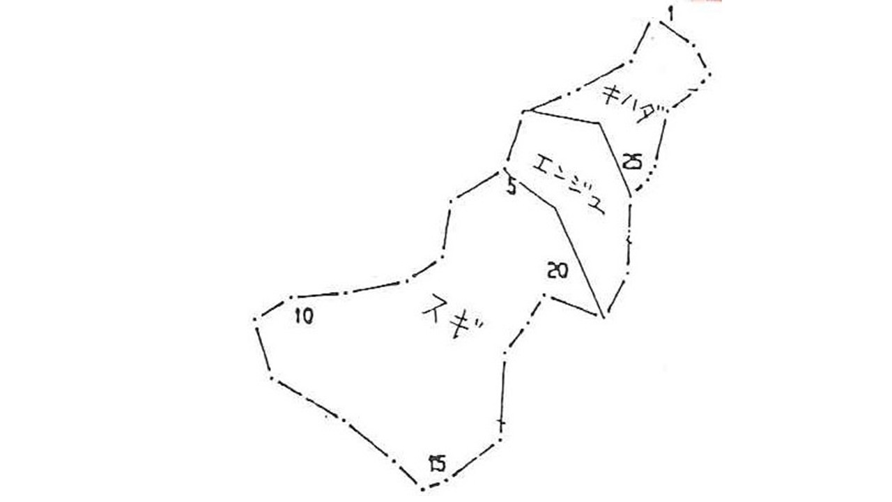 植栽図