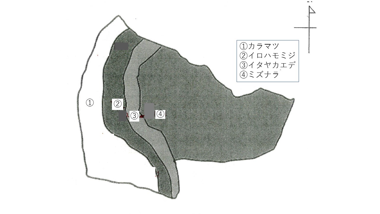 植栽図