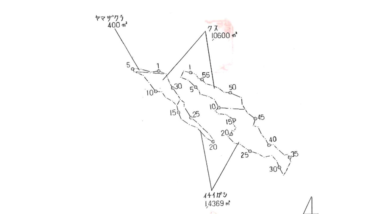 植栽図