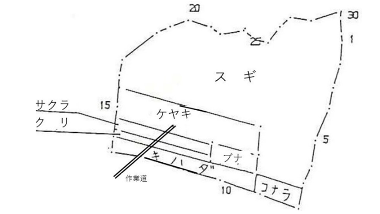 植栽図