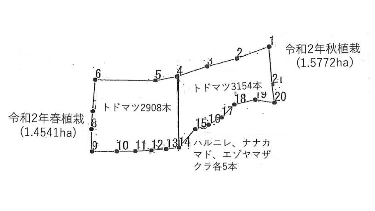 植栽図