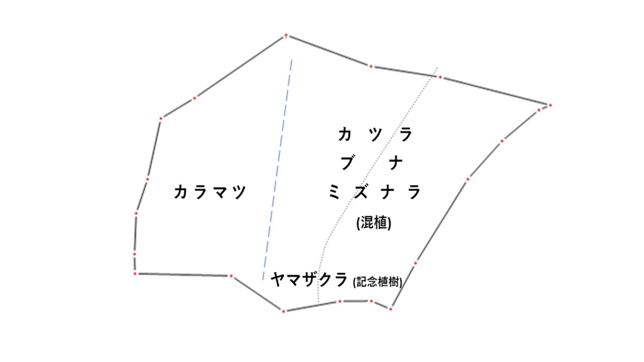 植栽図