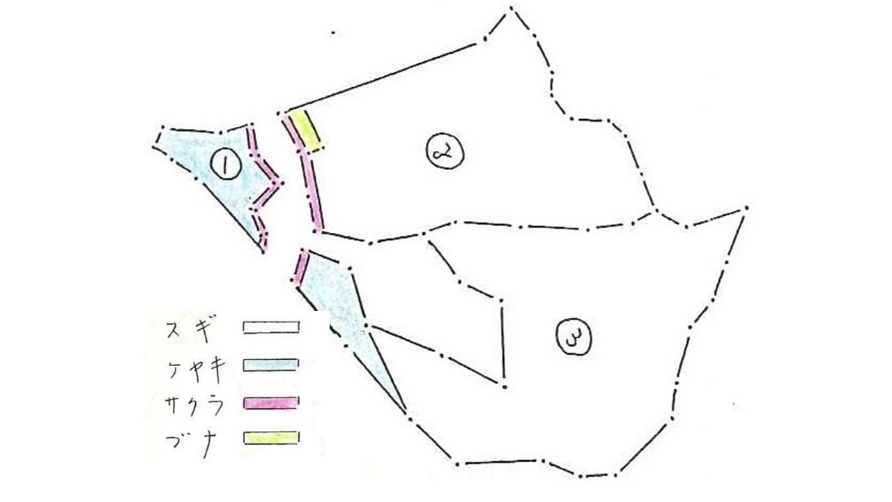 植栽図