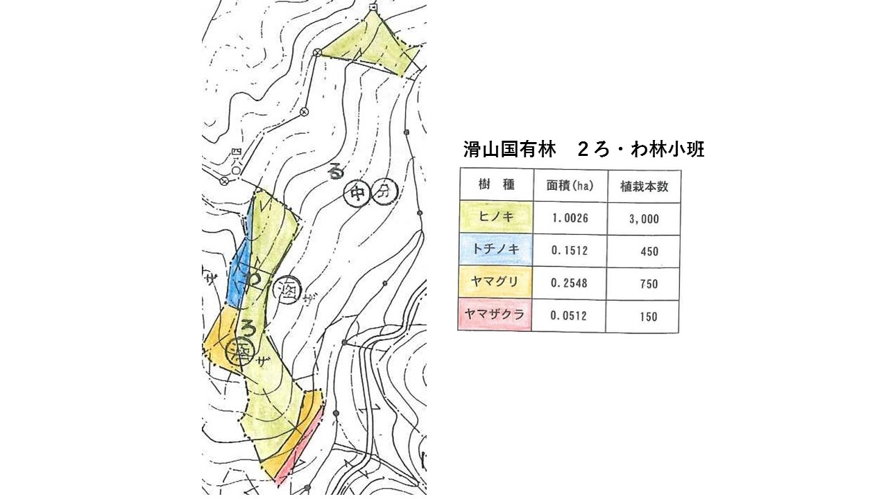 植栽図（滑山国有林　２ろ・わ林小班）