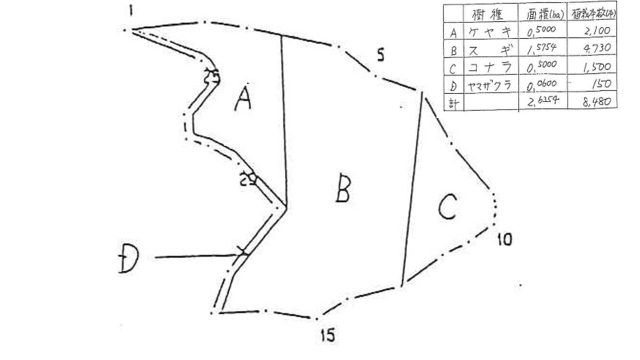 植栽図