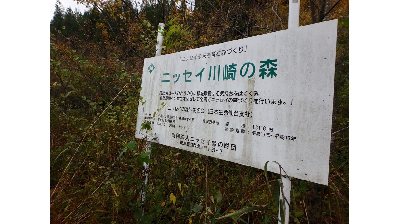 【H29.10撮影】看板の状況