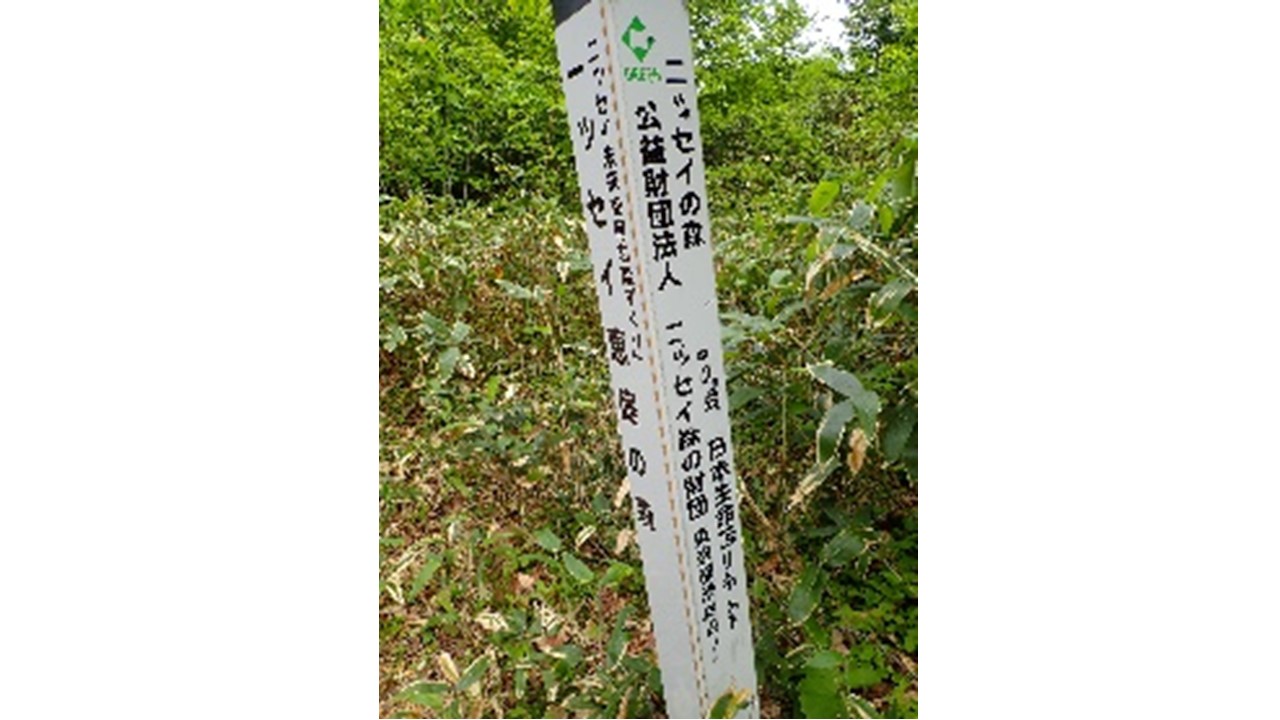 【H30.6撮影】標柱の状況
