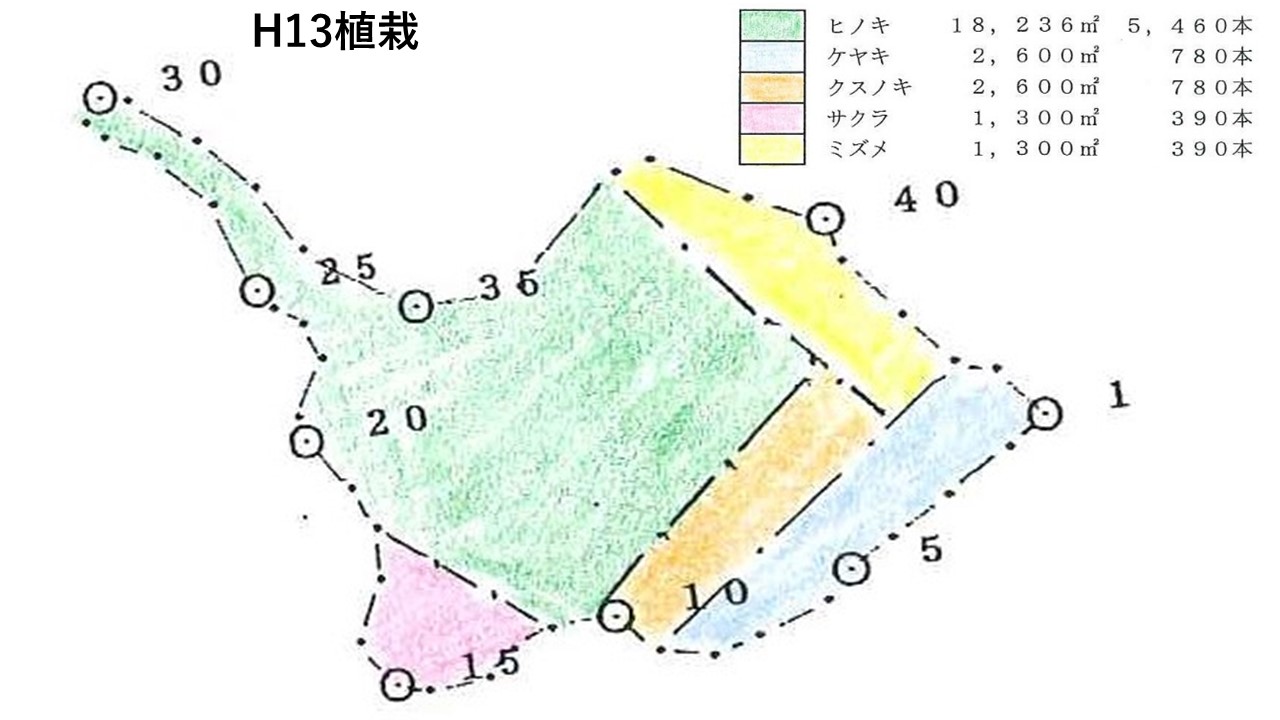 植栽図