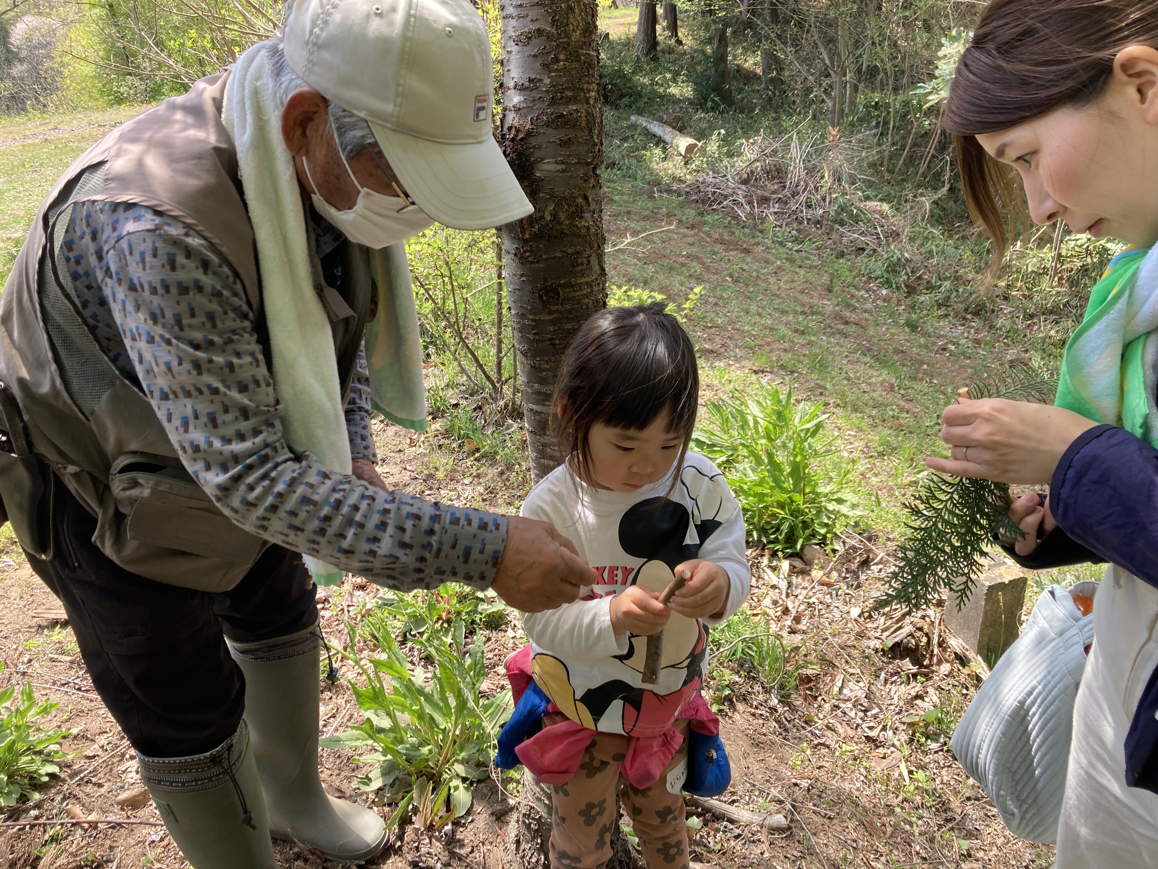ふれあい森林教室