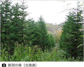新冠の森(北海道)
