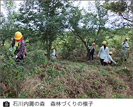 石川内灘の森　森林づくりの様子