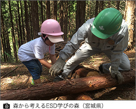 森から考えるESD学びの森(宮城県)