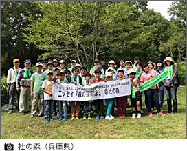 社の森(兵庫県)