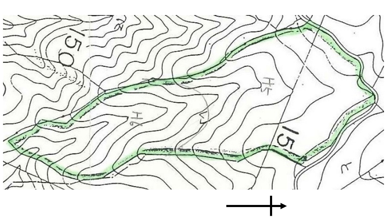 区域図（中央の沢を境に向かって右が1994、左が1995の植栽）
