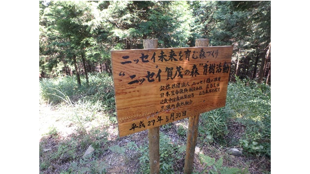 【H28.7撮影】黒瀬町森林組合作成の木製看板