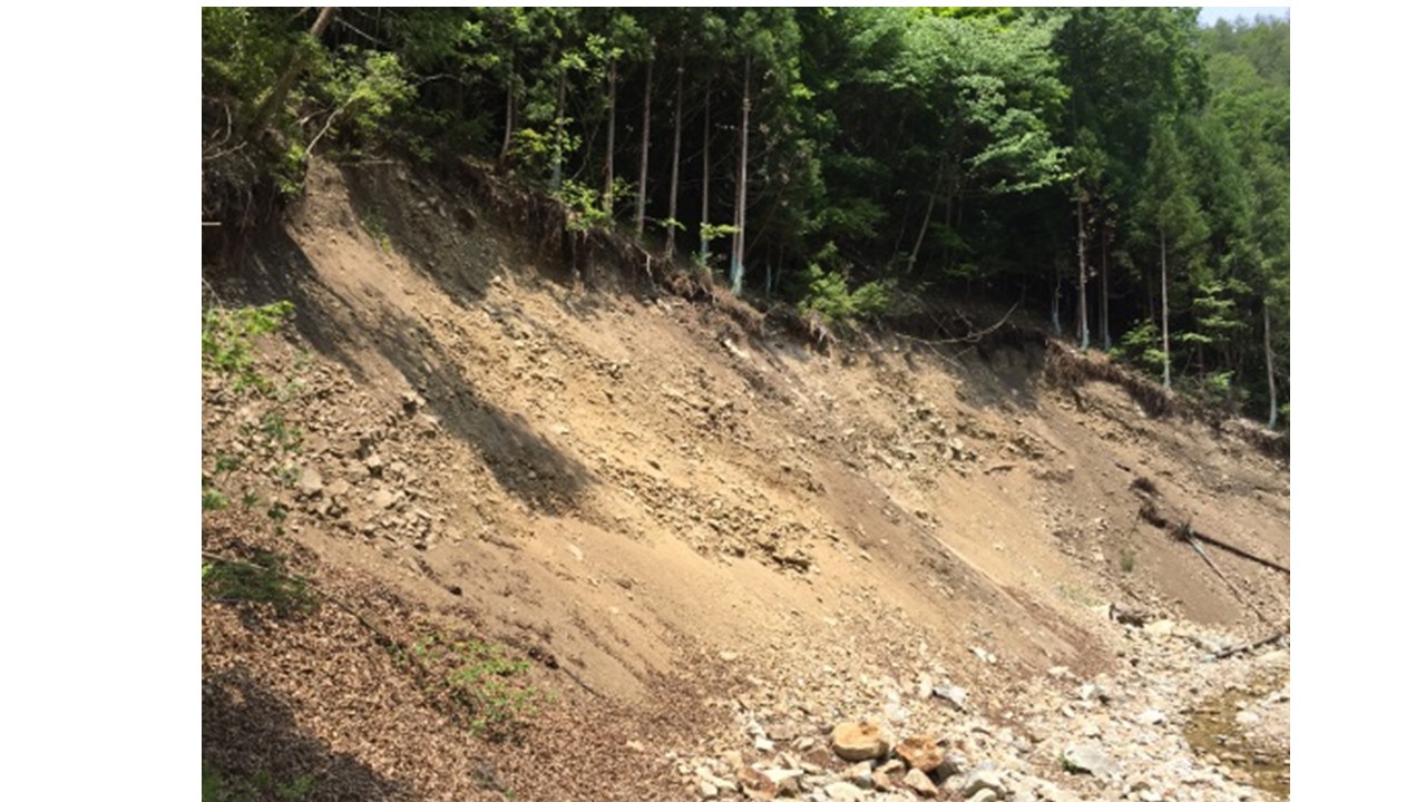 【H28.6.7撮影】林道に沿って20メートル×40メートルの土砂崩れの被害