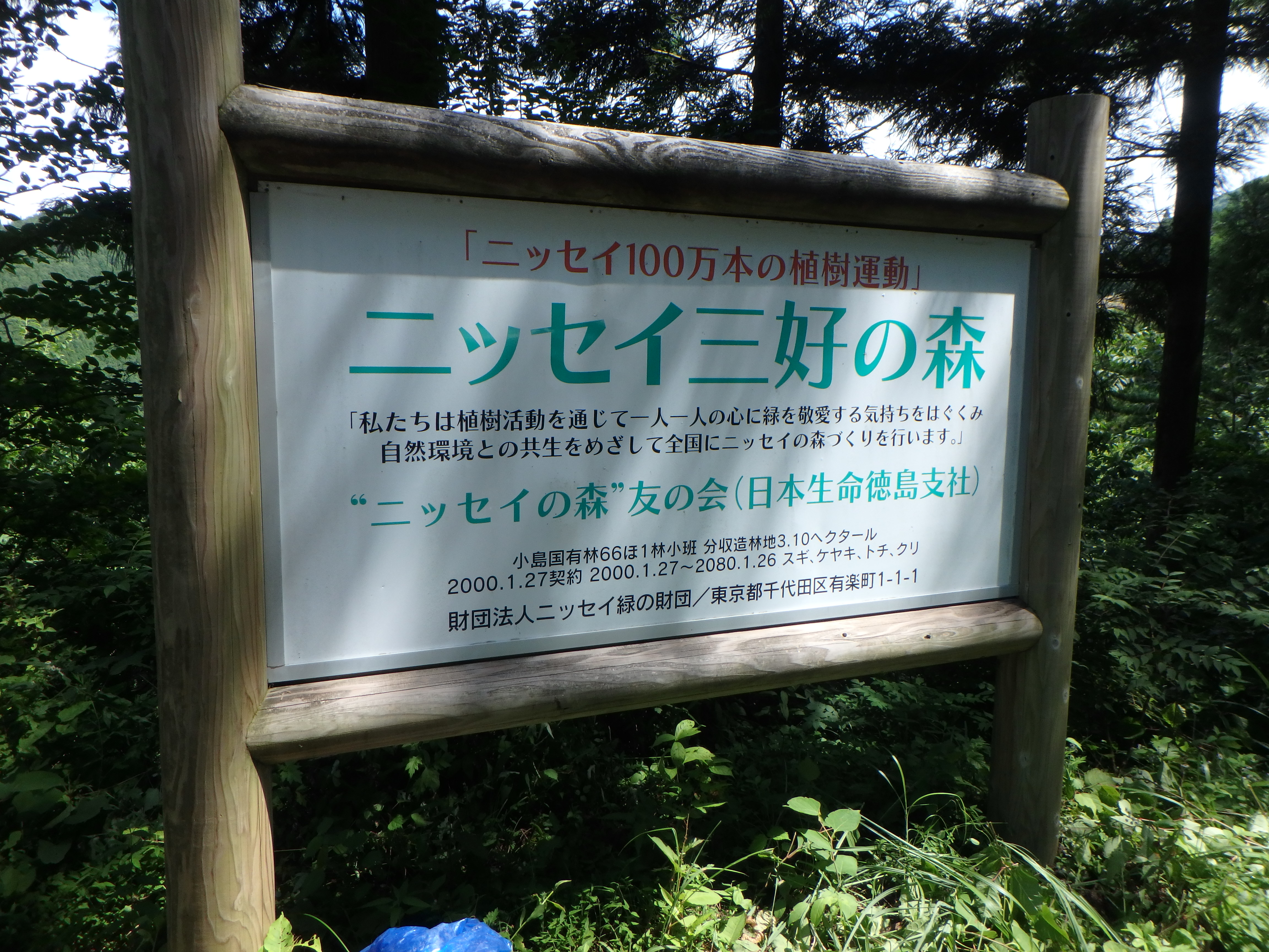 全国の ニッセイの森 をご紹介します 第16回 徳島県 公益財団法人 ニッセイ緑の財団