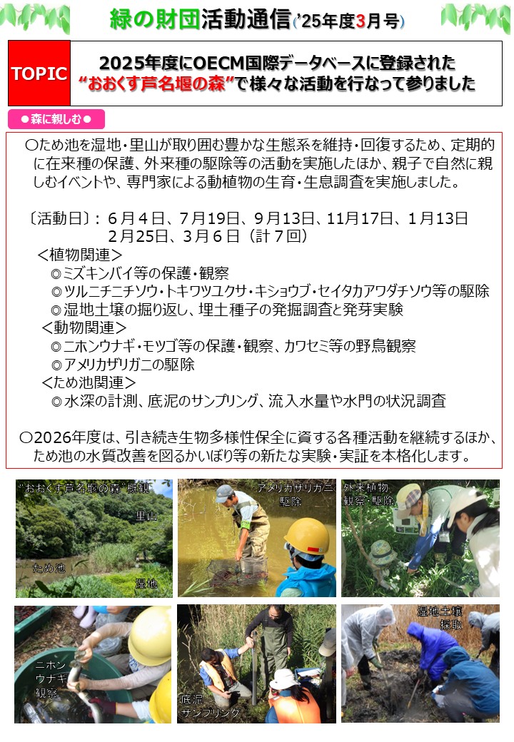 2025年度 財団活動通信3月号を発行しました