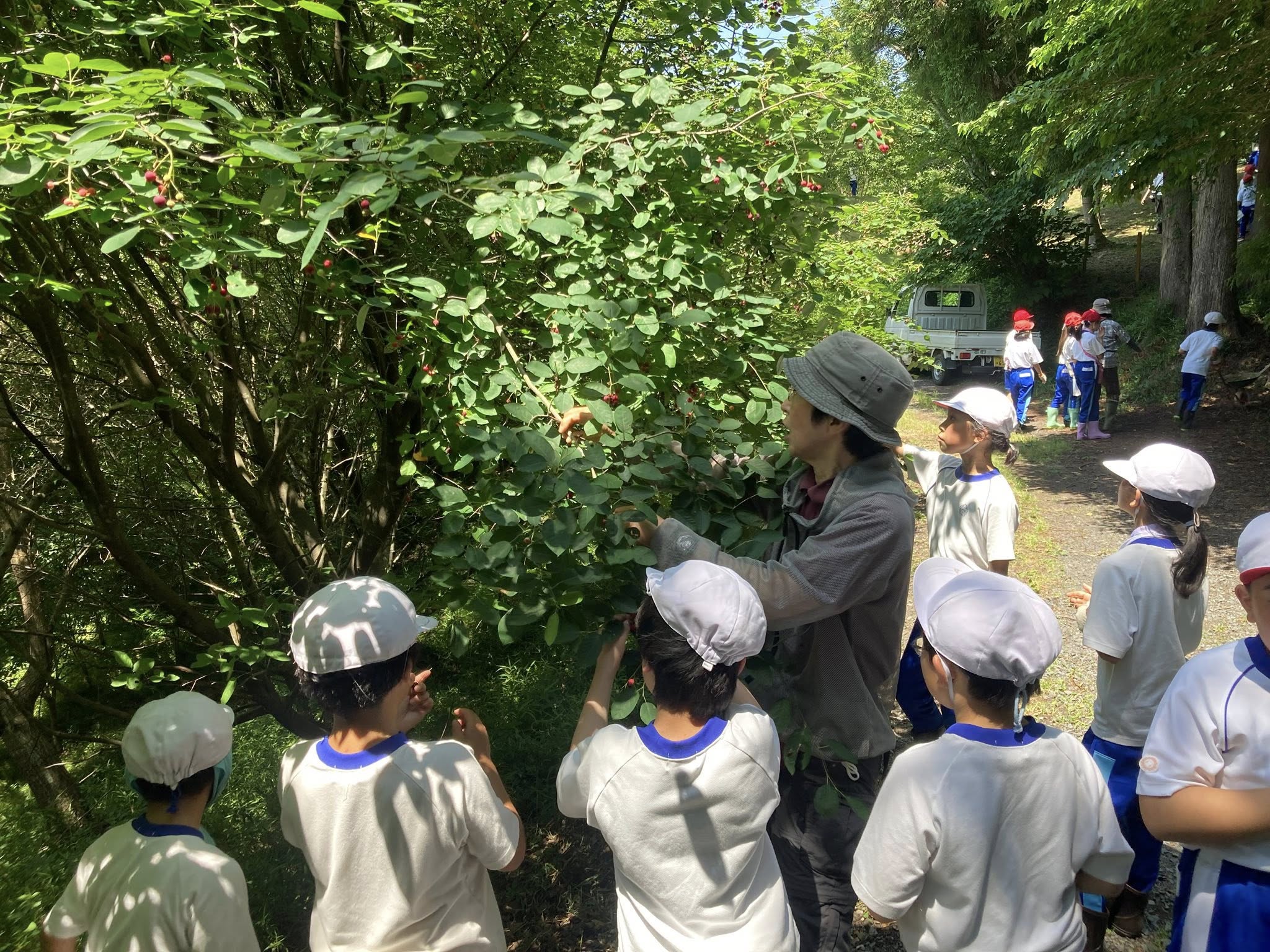 2025年度 財団活動通信７月号を発行しました