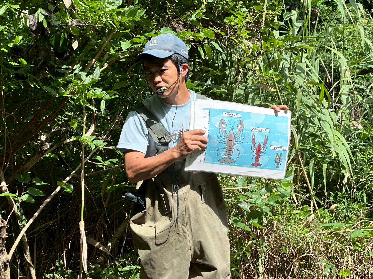 2025年度 財団活動通信８月号を発行しました