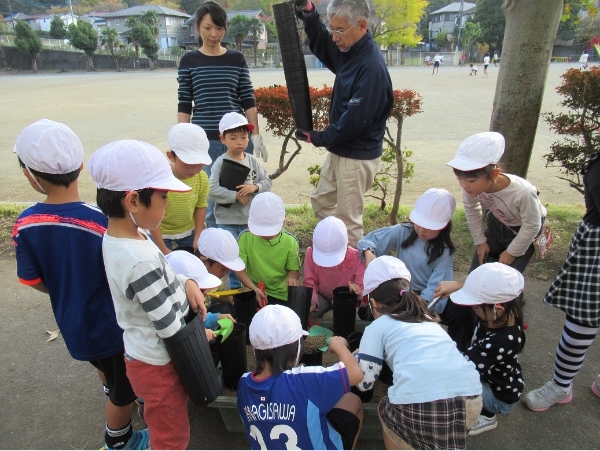 ドングリ学校