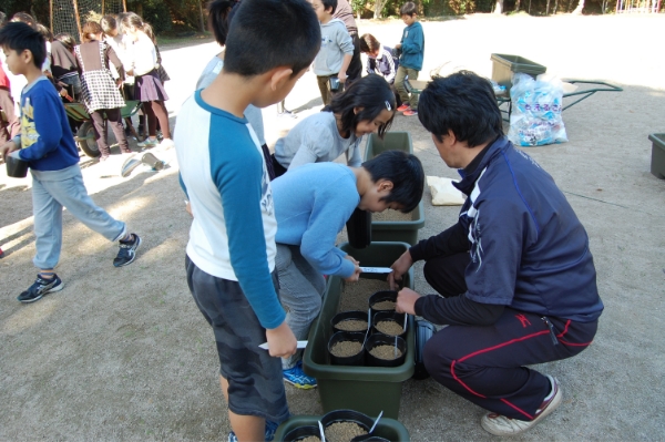 ドングリ学校